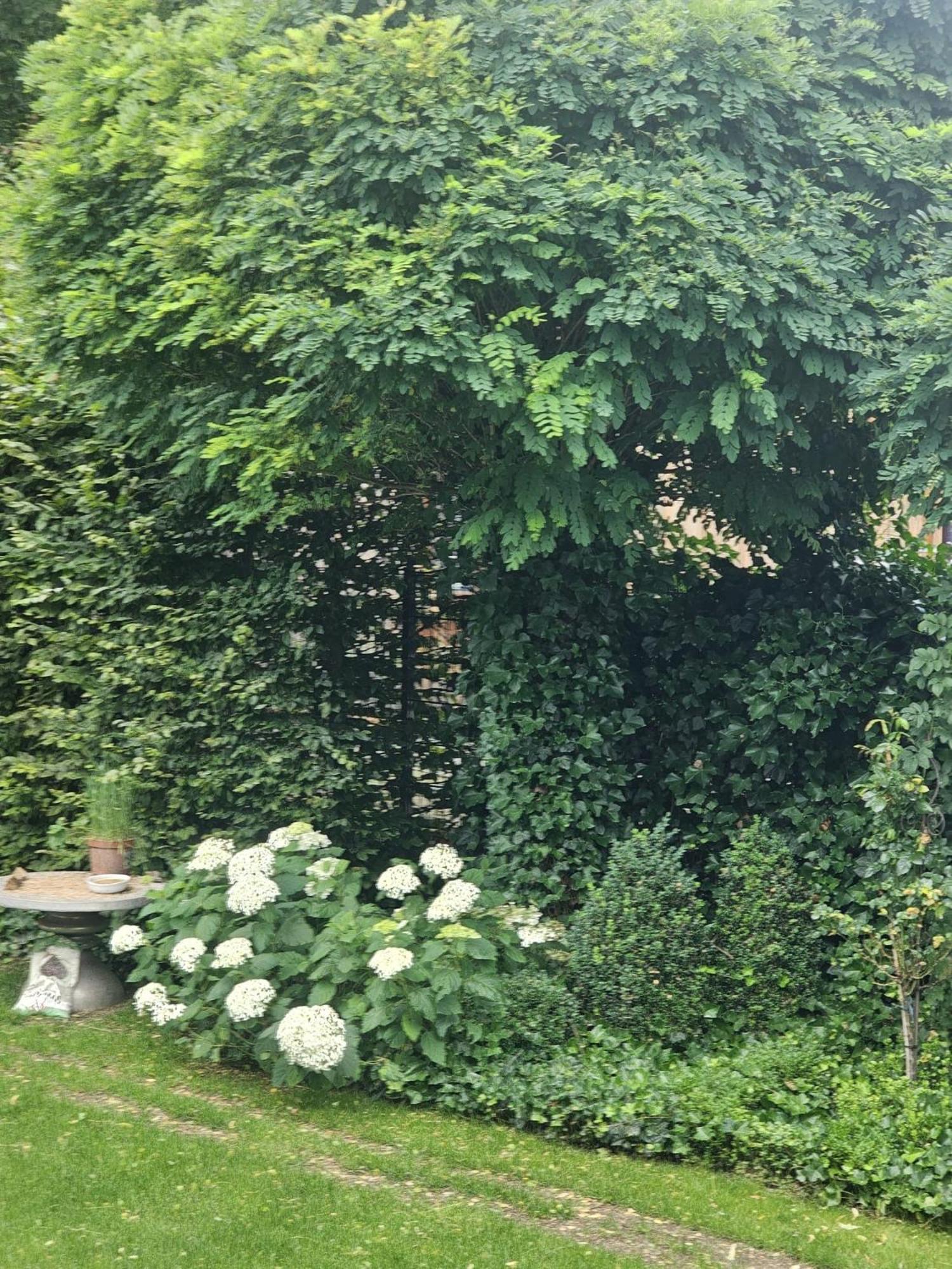 Gemuetliche Wohnung Mit Sauna Neumarkt in der Oberpfalz Exterior photo